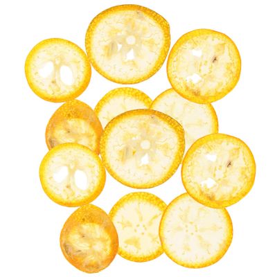 Milisten Kumquat Specimen Slices 12Pcs Dried Pressed Orange Slices for DIY Crafts Scrapbooking Phone Case Nail Art Lightweight Decorative Orange Fruit Slices
