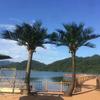 Simulation FRP Coconut Tree, Palm Tree, Artificial Palm Tree, Palm Tree Decor, Outdoor Palm Trees for Outside Patio, Palm Trees for Home Office Decoration 2m+3m view 1