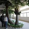Simulation FRP Coconut Tree, Palm Tree, Artificial Palm Tree, Palm Tree Decor, Outdoor Palm Trees for Outside Patio, Palm Trees for Home Office Decoration 2m+3m view 4
