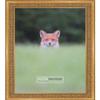Poster Palooza 3x5 Inch Traditional Antique Gold Complete Wood Picture Frame with UV Acrylic Plexiglass, Foam Board Backing & Hardware Included - 3x5 Inch Frame view 3