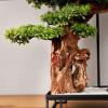 Artificial Trees Artificial Bonsai Tree 50.3 Inches Large Decor Simulation Welcome Pine Bonsai Tree Indoor Desktop Decoration Green Simulation Plant Artificial Bonsai view 3