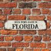 Bomehhjuli Tin Sign Back Home Again in Florida Metal Wall Art Florida State Aluminum Sign Home State Easy to Mount Rustic Metal Art Plaque for Bar Pub Man Cave Garage Kitchen 24x6in view 3
