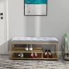Modern Entryway Bench with Metal Shoe Shelf,Comfy Upholstered Shoe Bench Seat Shoe Organizer,Premium Shoe Rack Bench Shoe Storage Bench Furniture Decor-Velvet Bench Cushion 60x35x45cm(24x14x18inch) view 1