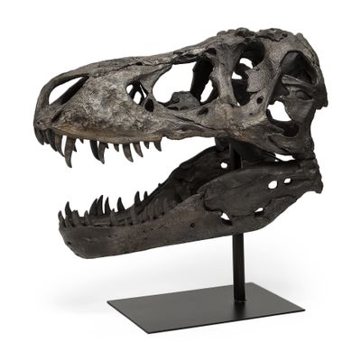 HomeRoots Authentic Replica T Rex Skull Sculpture