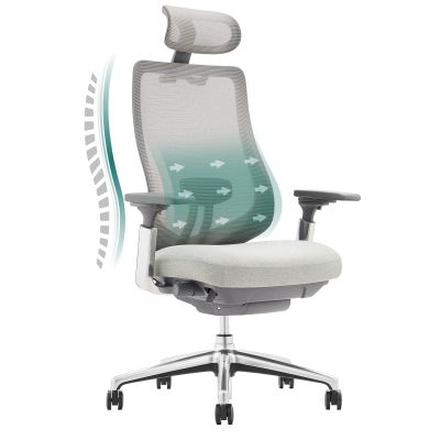 COLAMY Ergonomic Mesh Office Chair, High Back Computer Executive Desk Chair with Adjustable Headrest and 4D Arms, Slide Seat, Tilt Lock-Light Grey