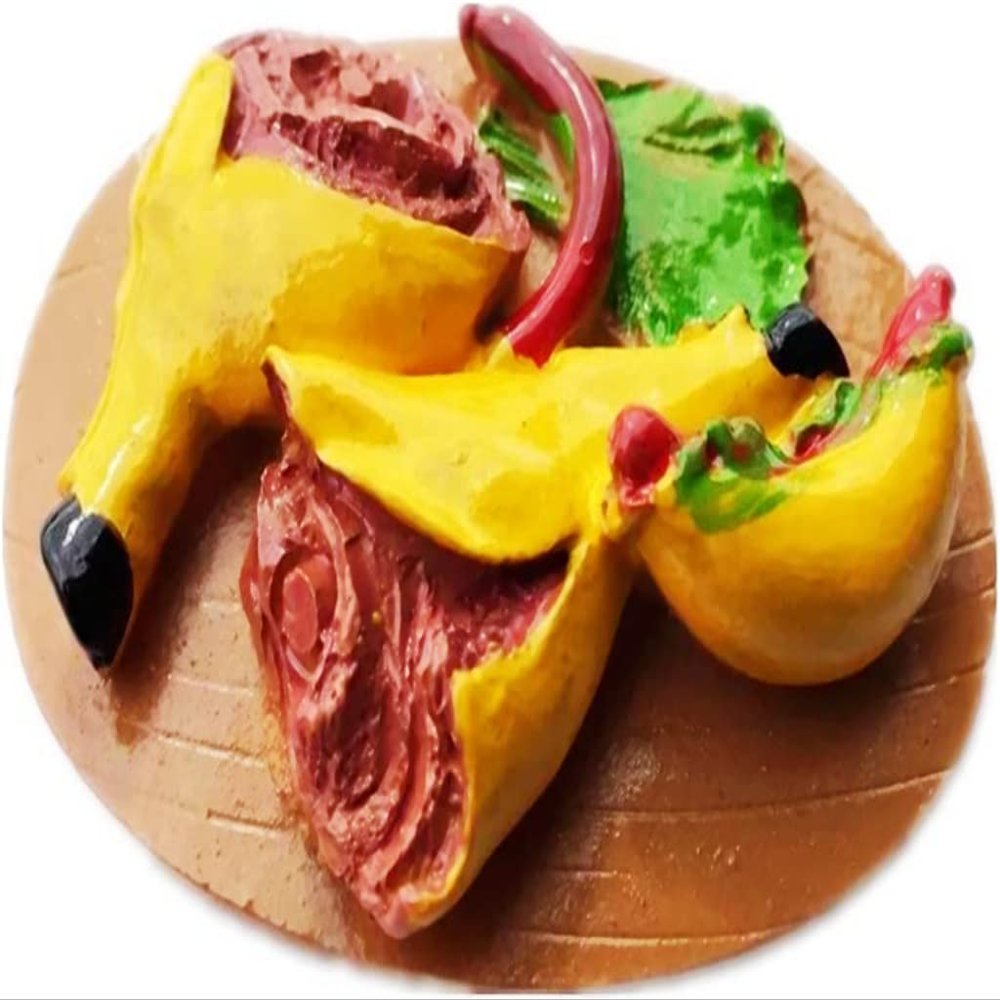 Food Spain Magnet Fridge Refrigerator Magnet Decoration Sticker Souvenir Resin Crafts Kitchen Whiteboard