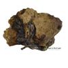 Bethlehem Nativity Scene Set Carved Inside an Olive Root Branch, Wooden Manger Scene Nativity for Christmas Decorations, Holy Land view 3