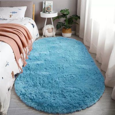 Reyox Fluffy Soft Oval Area Rug, Plush Shaggy Carpet for for Living Room Bedroom Home Dcor Light Blue 2.0 x 3.0 Feet