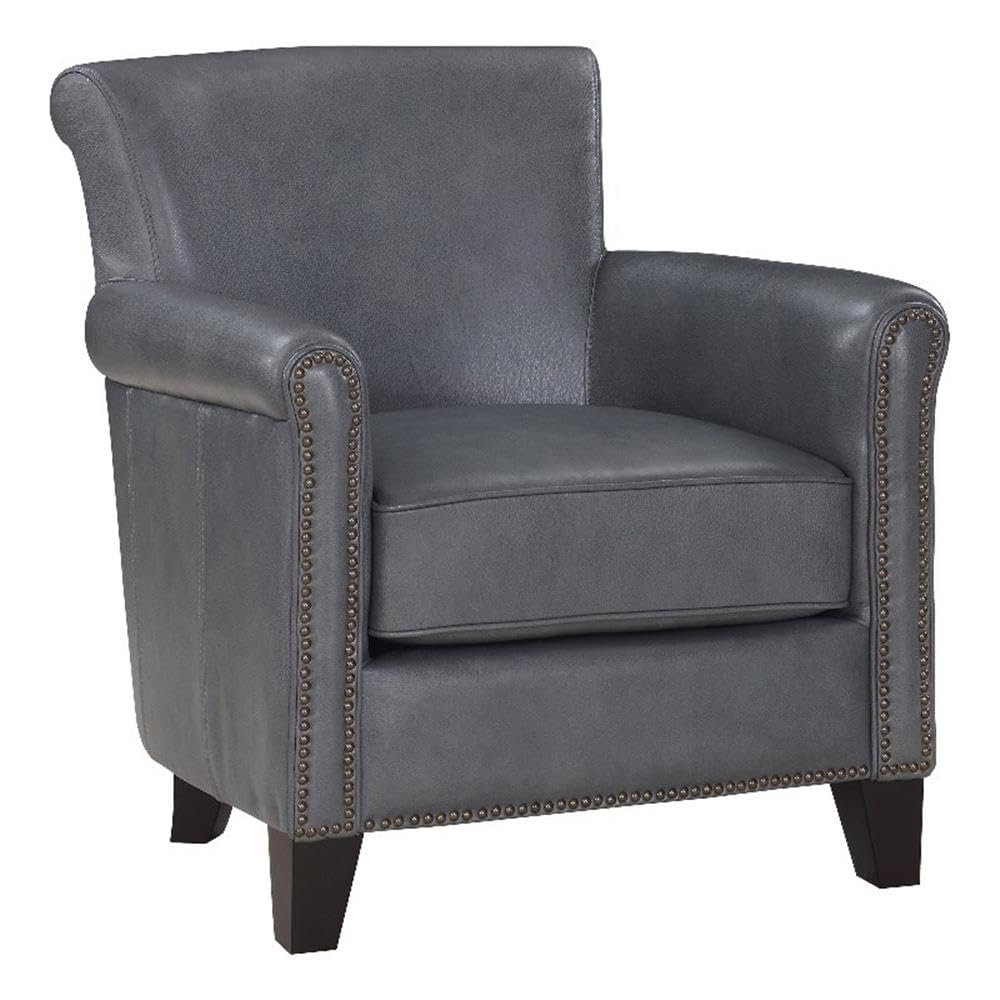Lexicon Braintree 20.5" Plywood and Leather Accent Chair in Burnish Gray