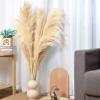 20-pcs 23 inch brpwm Pampas + 10-pcs 40inch Cream Pampas view 1