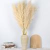 20-pcs 23 inch brpwm Pampas + 10-pcs 40inch Cream Pampas view 2