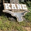 Name sign for boys room made from wood custom longhorn cow sign baby shower gift name sign country style rustic farmhouse name sign toddler (16inch) view 3