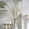 Wttisel 38" 10 Stems White Pampas Grass Tall Decor - Faux Pampas Grass Decor Tall for Floor Vase Boho Home Wedding Mothers Day Decoration view 1