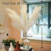 Wttisel 38" 10 Stems White Pampas Grass Tall Decor - Faux Pampas Grass Decor Tall for Floor Vase Boho Home Wedding Mothers Day Decoration view 2