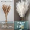 Wttisel 38" 10 Stems White Pampas Grass Tall Decor - Faux Pampas Grass Decor Tall for Floor Vase Boho Home Wedding Mothers Day Decoration view 4