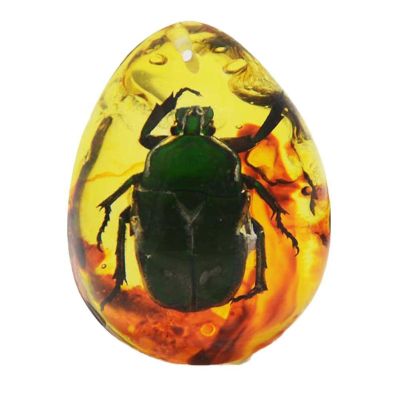 4 * 5cm Natural Rough Butterfly Amber Stone Insect Spcimen Pendant Necklace Stone Table Decoration DIY Craft Pendant,beetleB