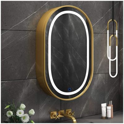ZTGL Oval LED Lighted Bathroom Medicine Cabinet with Mirror, Bathroom Wall Storage Cabinet Mirror Medicine Cabinet with Slow-Close, 3 Color Light Makeup Mirror, 19.7x31.5 in,Gold,with Light
