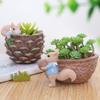 qbodp Walnut Squirrel Desktop Ornament Storage Box Home Decor Table Ornament Plant Pot Pen Holder Desktop Decoration Crafts for Living Room,Office,Garden view 2