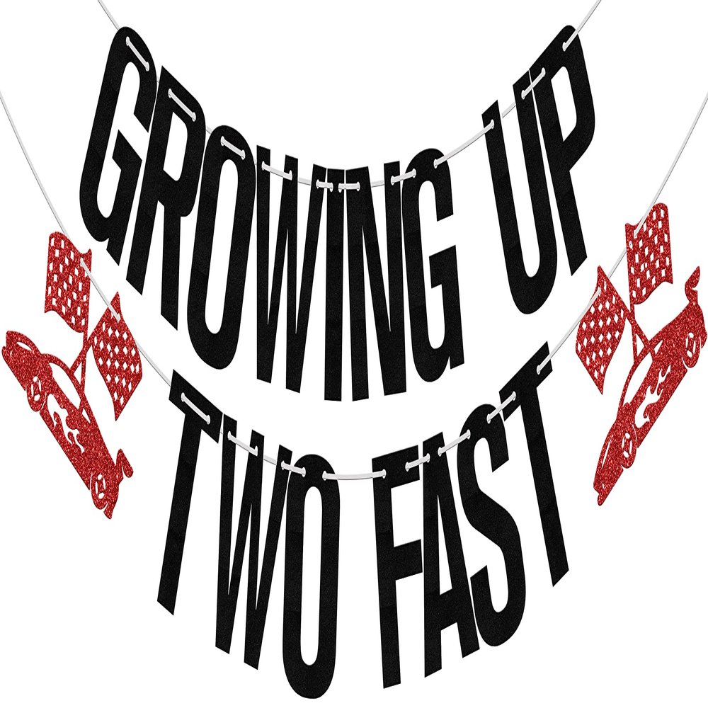 Growing Up Two Fast Banner, Two Curious Birthday Decorations, Racing Party Second Birthday Supplies, Black Red Glitter