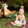 LINLULU Lion 1st Birthday Crown - Jungle Safari Wild One Birthday Hat Decoration for Boys view 3