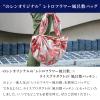 NOREN Furoshiki Wrapping Cloth Bag and Handle Set (Retro Flower Red / 39.4 inch) Handbag Japanese Tote Bag Reusable Folding Bag with Pockets/Made in Japan 100% Cotton Japanese Kimono Desigh view 2