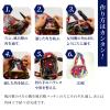 NOREN Furoshiki Wrapping Cloth Bag and Handle Set (Retro Flower Red / 39.4 inch) Handbag Japanese Tote Bag Reusable Folding Bag with Pockets/Made in Japan 100% Cotton Japanese Kimono Desigh view 4