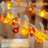 BOHON Thanksgiving Decoration 30 LEDs Acorn 3D Pumpkin Leaf String Lights view 3
