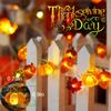 BOHON Thanksgiving Decoration 30 LEDs Acorn 3D Pumpkin Leaf String Lights view 4