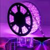 100ft LED Rope Lights Outdoor, 720 LED Connectable and Flexible Tube Lights with 8 Modes, Waterproof LED Rope Lighting for Garden, Patio, Pool, Bedroom, Party, Indoor Outdoor Decoration (Purple) view 1
