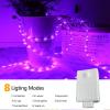 100ft LED Rope Lights Outdoor, 720 LED Connectable and Flexible Tube Lights with 8 Modes, Waterproof LED Rope Lighting for Garden, Patio, Pool, Bedroom, Party, Indoor Outdoor Decoration (Purple) view 3