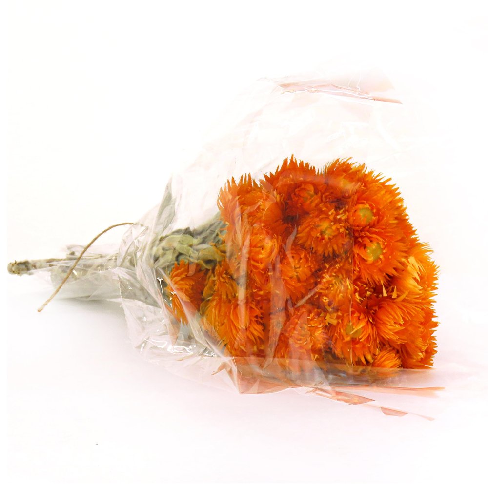 National Tree Company Christmas Artificial Tree, Orange