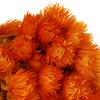 National Tree Company Christmas Artificial Tree, Orange view 3