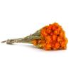 National Tree Company Christmas Artificial Tree, Orange view 4