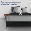 Greaton, 15-Inch Premium Velvet Material Wood Platform Bed, Durable, Stylish, Multi Colour Options, No Box Spring Needed, Black Metal Legs, Queen, Bllack view 3
