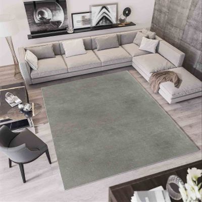LaModaHome Area Rug Non-Slip - Light Grey Light Gray Thin, Washable Soft Machine Washable Bedroom Rugs Indoor Outdoor Bathroom Mat Kids Child Stain Resistant Living Room Kitchen Carpet 3.3 x 9.9 ft