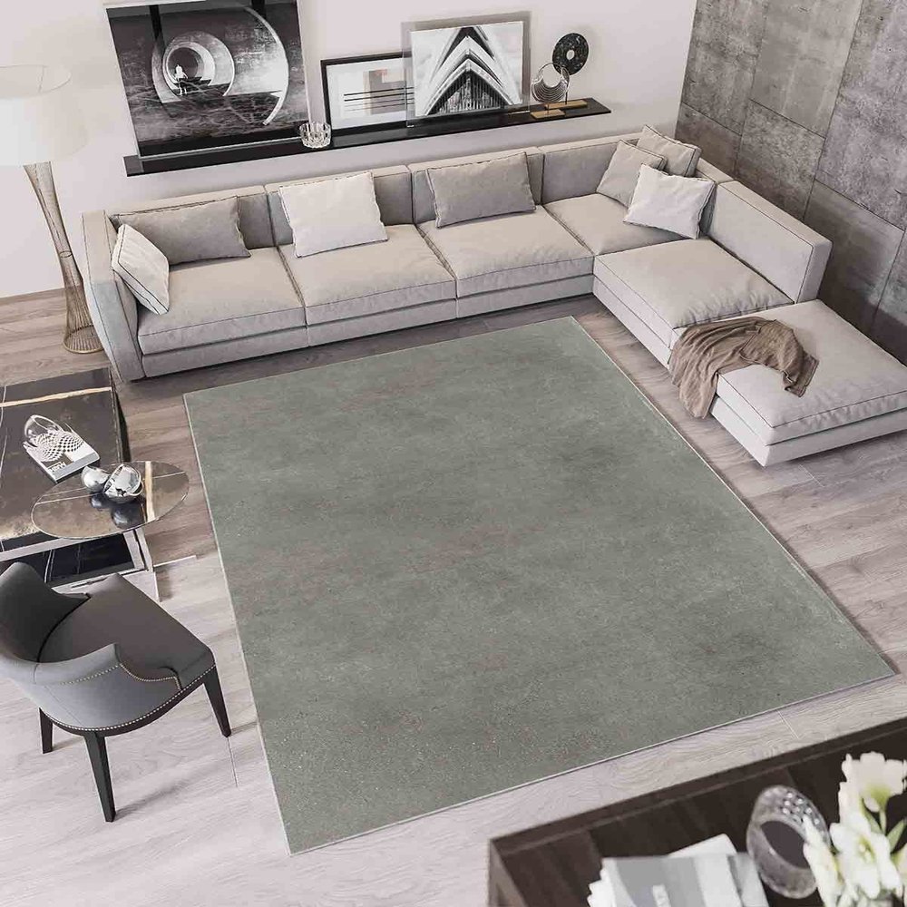 LaModaHome Area Rug Non-Slip - Light Grey Light Gray Thin, Washable Soft Machine Washable Bedroom Rugs Indoor Outdoor Bathroom Mat Kids Child Stain Resistant Living Room Kitchen Carpet 3.3 x 9.9 ft