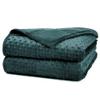 Alomidds Weighted Blanket, Luxury Velvet Weighted Blankets for Adults and Kids,Warm and Breathable Soft and Comfort Minky, Cute Heavy Blanket with Premium Glass Beads (36"x48" 5LBS, Green) view 1