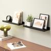 Boswillon Floating Shelves Wall Mounted Set of 2, Modern Black Wall Shelves for Storage with Lip, Display Picture Ledge Shelf for Wall Decor Bedroom Living Room Bathroom Kitchen view 2