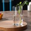 Transparent Glass Hydroponic Vase Minimalist Glass Vase Cylinder Flower Vase Use for Floral Wedding Home Decor view 3
