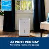 GE Energy Star Portable Dehumidifier for Basement, Bedroom, Bathroom, Closet or Small Rooms up to 1500 Sq Ft, 22 Pint with Removable Bucket and Continuous Drain Connect for Auto or Manual Drainage view 2