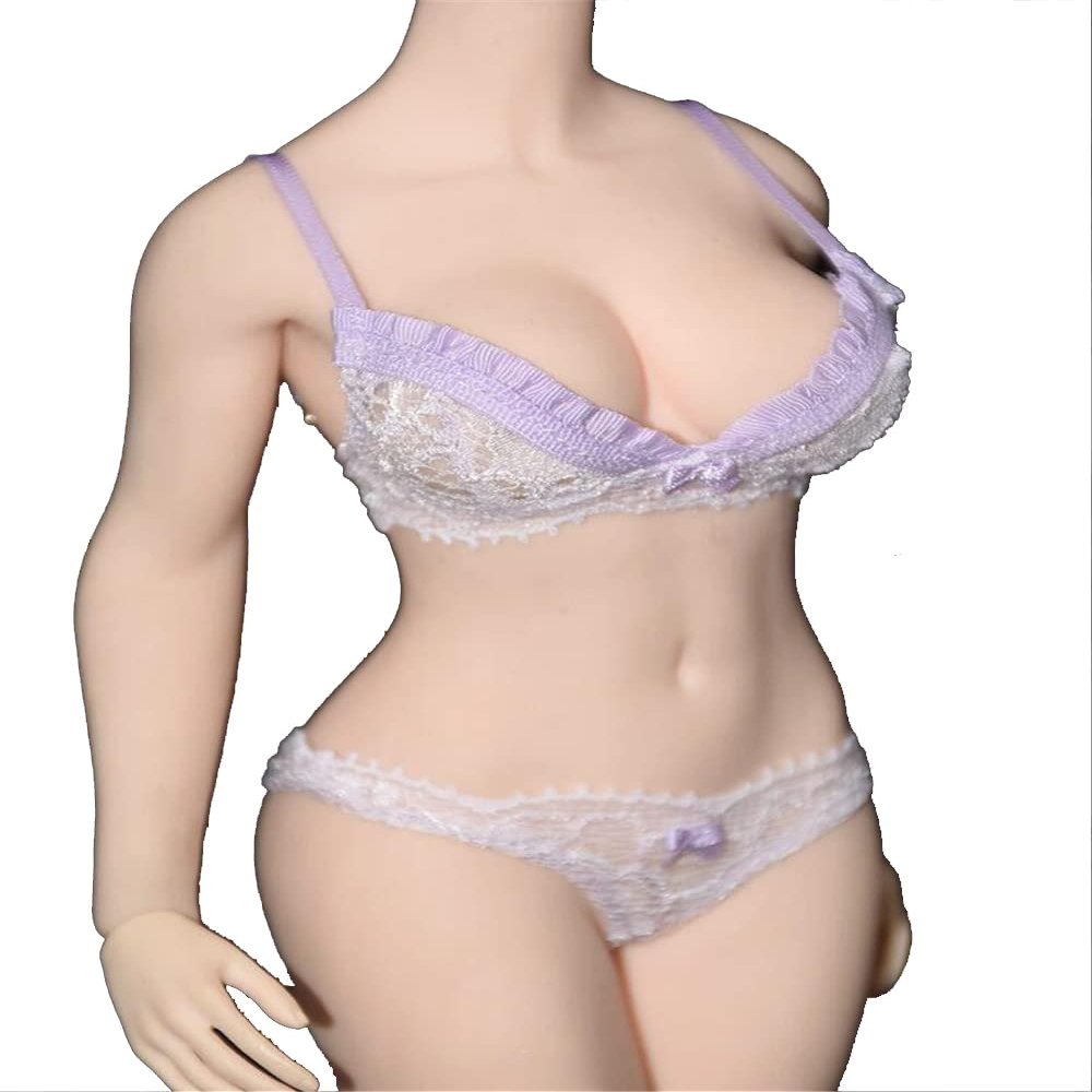 1/6 Scale Female Figure Clothes,Female Lace Bras Briefs Underwear Costume Outfit Clothing for 12inch PH TBL JO Action Figure Body (Light Purple)