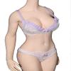 1/6 Scale Female Figure Clothes,Female Lace Bras Briefs Underwear Costume Outfit Clothing for 12inch PH TBL JO Action Figure Body (Light Purple) view 1