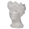 T2 Concept D6X9 Classical Bust Visage Cement Floral Vase Planter Unique Accent Piece with Industrial Elements for Backyard Shelf Balcony Front Yard Entrance view 1