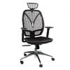 Ergonomic high mesh backrest, Waist Learning Work Chair with Waist Support headrest 5D armrest Adjustable Height and tilt Function Office Computer Chair (Aluminium Alloy, Grey+Blue Cushion) view 1