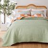 Greenland Home Carlie Modern Floral Reversible Quilt Set, 2-Piece Twin, Calico Stripes view 3