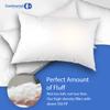 Firm Goose Down Pillow Set of 2 Standard Size 25 Ounce 26x20 Inch RDS Certified Fine Cotton Shell - Made in USA - Firm White Down Pillow view 4
