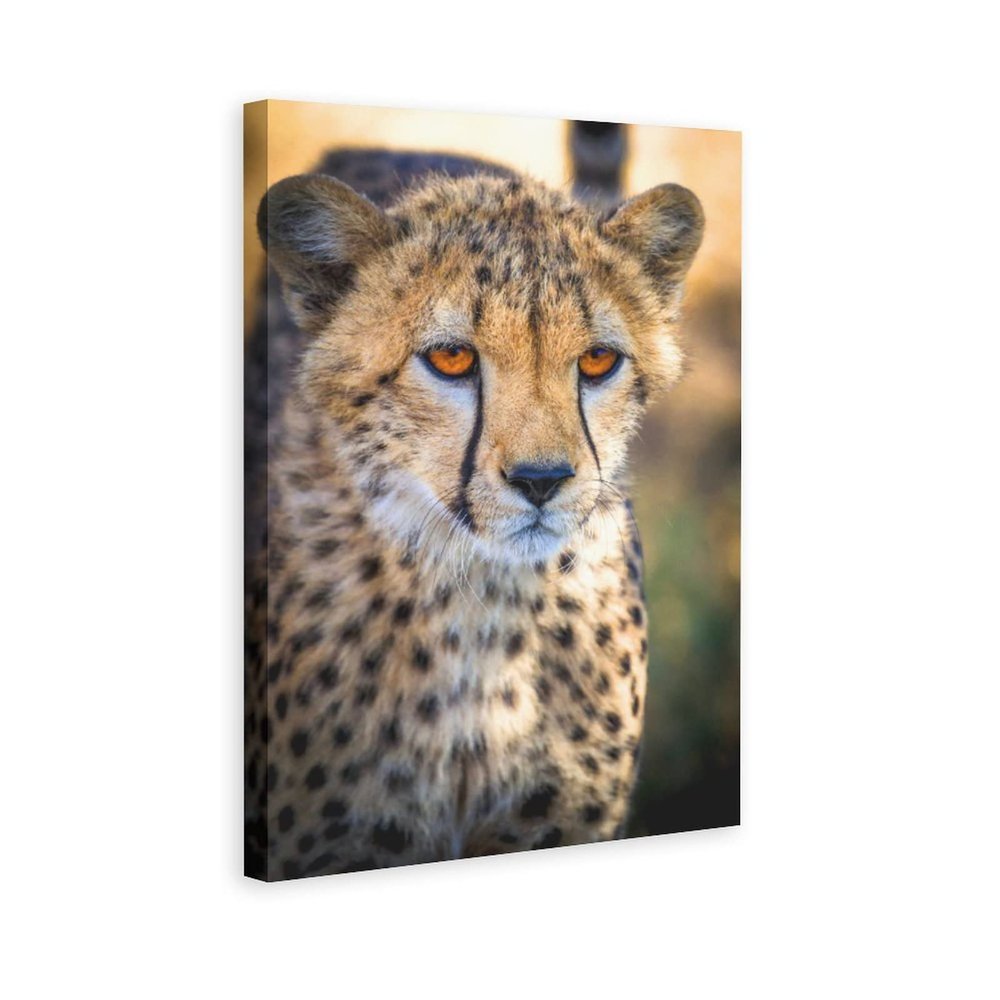 Cheetah Leopard Panthers Fierce Canvas Poster Bedroom Decor Sports Landscape Office Room Decor Gift,Canvas Poster Wall Art Decor Print Picture Paintings for Living Room Bedroom Decoration 16x24inchs(4