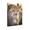 Cheetah Leopard Panthers Fierce Canvas Poster Bedroom Decor Sports Landscape Office Room Decor Gift,Canvas Poster Wall Art Decor Print Picture Paintings for Living Room Bedroom Decoration 16x24inchs(4 view 1