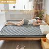 LZTENRETO Firm Coconut Palm Mattress Organic Coconut Coir Mattress Firm Mattress Topper Firm Mattress for Back Pain Floor Mattress Pad (Grey,80x190x6cm(32"x75"x2.4")) view 2