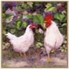 Amanti Art Framed Canvas Wall Art 42x32 Roosters en Place IV by Marcia Matcham, Framed Wall Art Canvas, Animals Artwork, Modern Decor, Oversize Poster Painting for Living Room, Bedroom, Bathroom, view 1